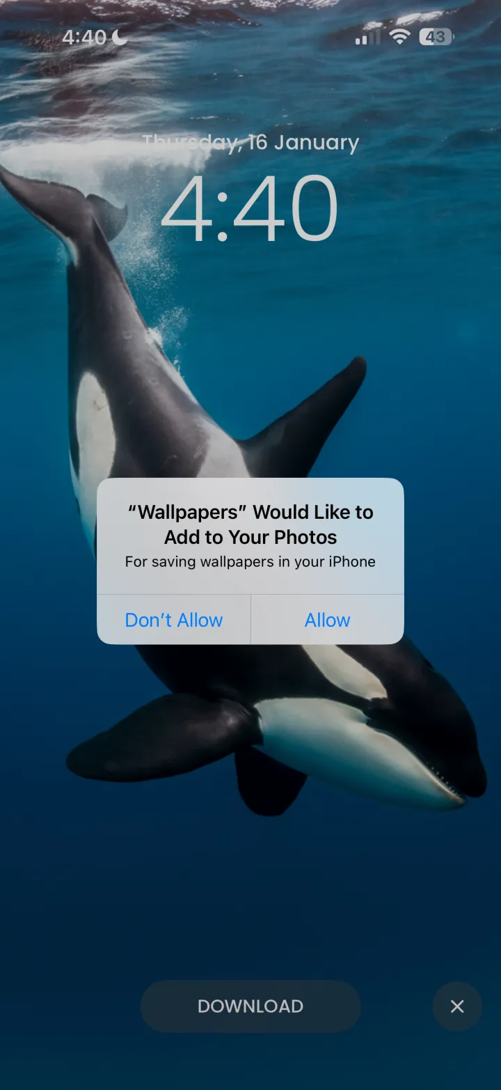 Saving an animal wallpaper from SnuggleScreen